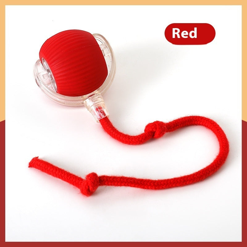 Interactive Cat Toy Ball - Self-Rolling & Funny Exercise Play for Indoor Cats