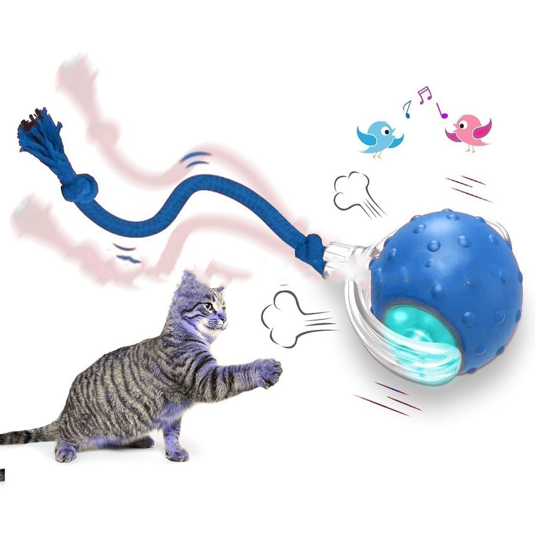 Interactive Cat Toy Ball - Self-Rolling & Funny Exercise Play for Indoor Cats