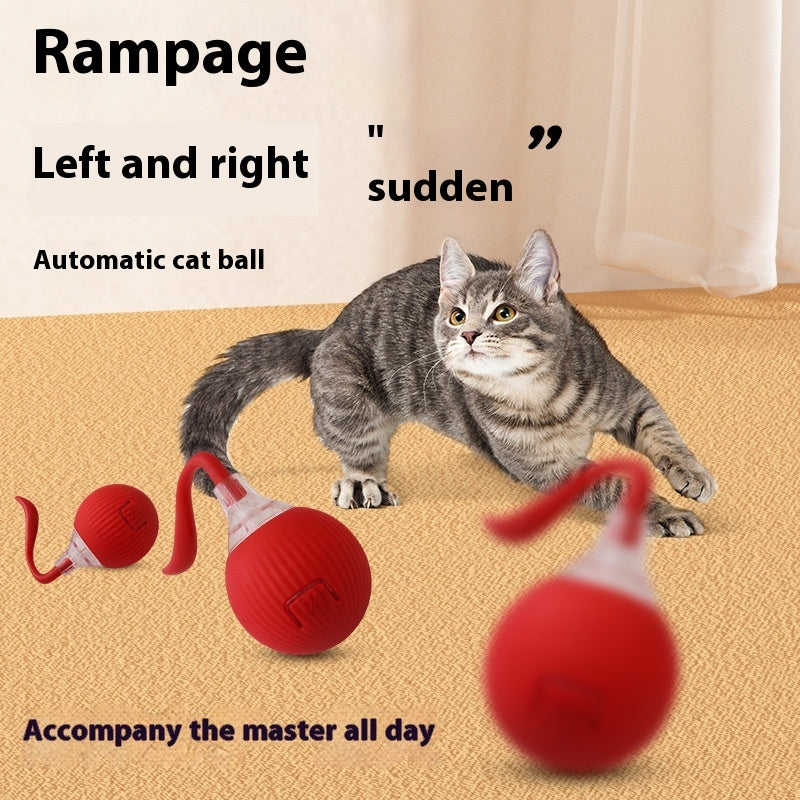 Interactive Cat Toy Ball - Self-Rolling & Funny Exercise Play for Indoor Cats