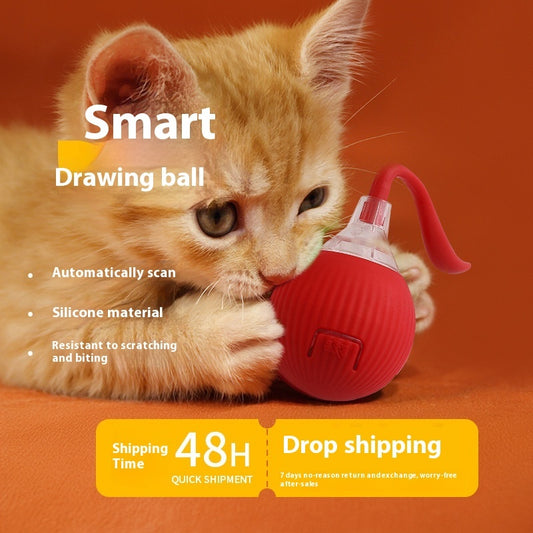 Interactive Cat Toy Ball - Self-Rolling & Funny Exercise Play for Indoor Cats