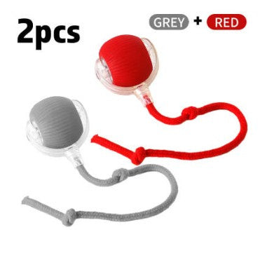 Interactive Cat Toy Ball - Self-Rolling & Funny Exercise Play for Indoor Cats