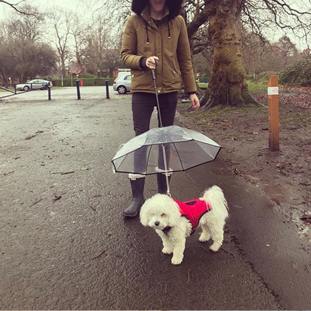 Transparent Dog Umbrella With Leash - Hands-Free Rain Protection for Small & Medium Pets