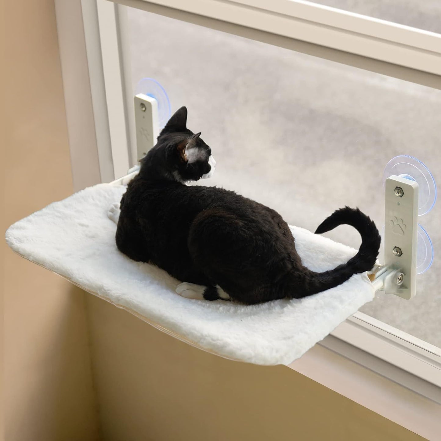 Cat Window Hammock Bed - Strong Suction Cups,Sturdy Frame & Cozy Seat for Indoor Cats