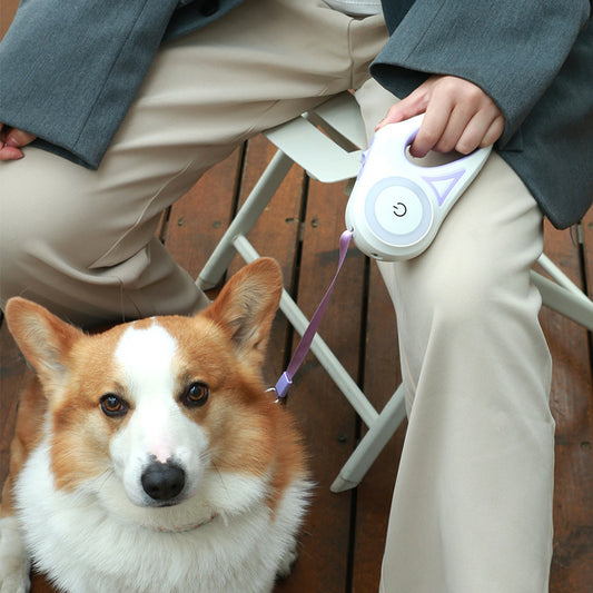 Retractabale Dog Leash with LED Light- Strong & Tangle-Free Pet Walking Rope for Small & Medium Dogs