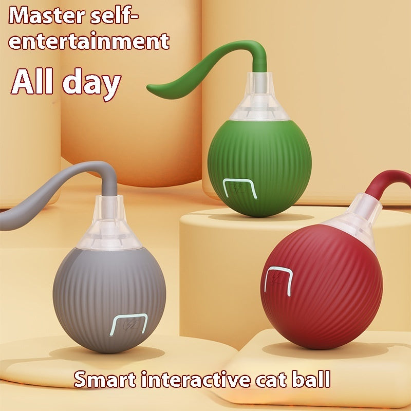 Interactive Cat Toy Ball - Self-Rolling & Funny Exercise Play for Indoor Cats