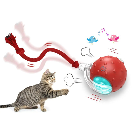 Interactive Cat Toy Ball - Self-Rolling & Funny Exercise Play for Indoor Cats